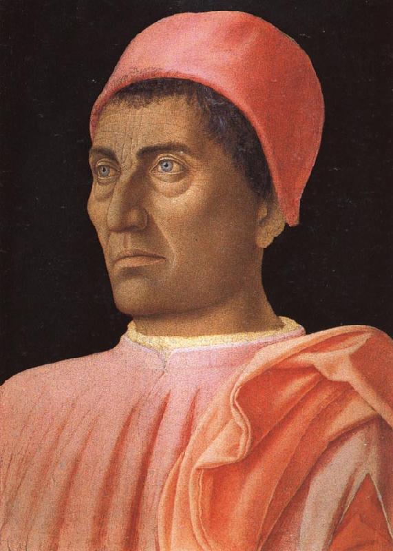 Andrea Mantegna Portrait of Carlo de'Medici France oil painting art